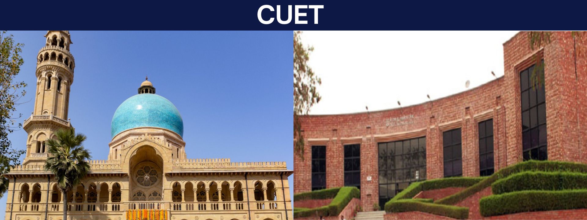 CUET - coaching at Anees Classes